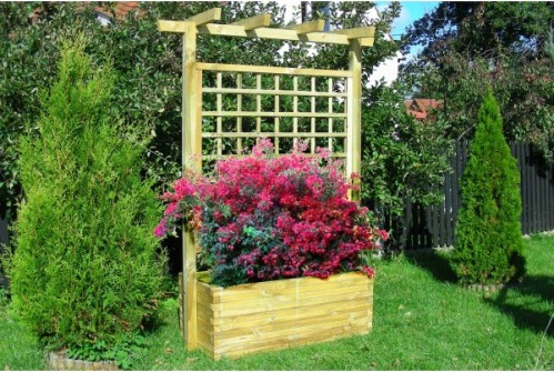 pergola z donic?