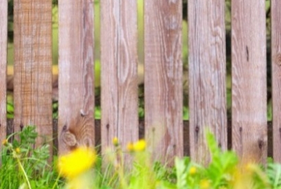 Jak skutecznie zamaskować ogrodzenie z siatki? 