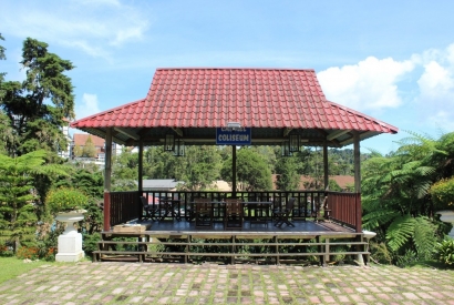Drewniane paliwony ogrodowe 